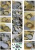 Pontos 22002F1 USS BB-63 Missouri 1945 Detail Up Set (Without wooden deck) (1:200)